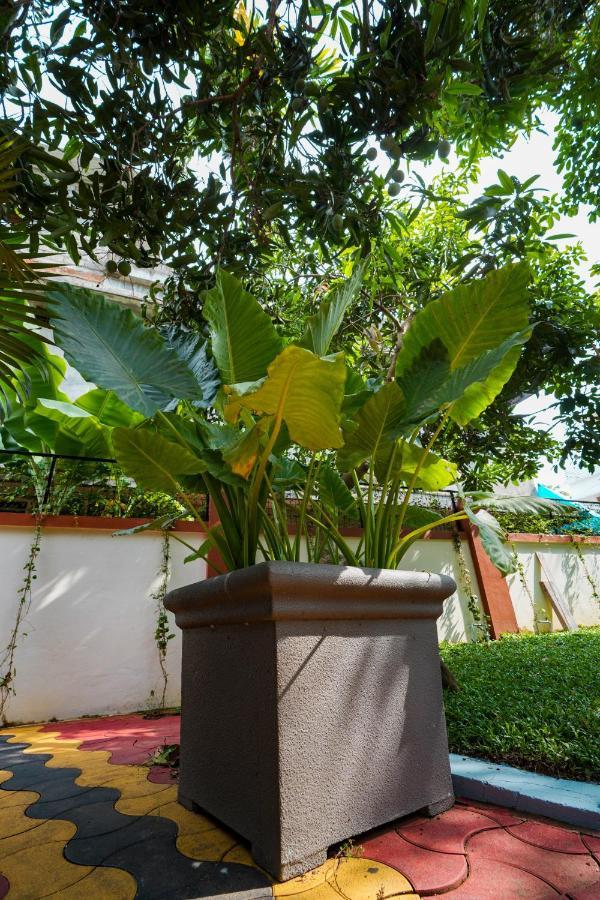 Parudeesa - Heavenly- Luxurious Palace Look-Near Cbd - Kerala - India With Breakfast Kaladi Экстерьер фото